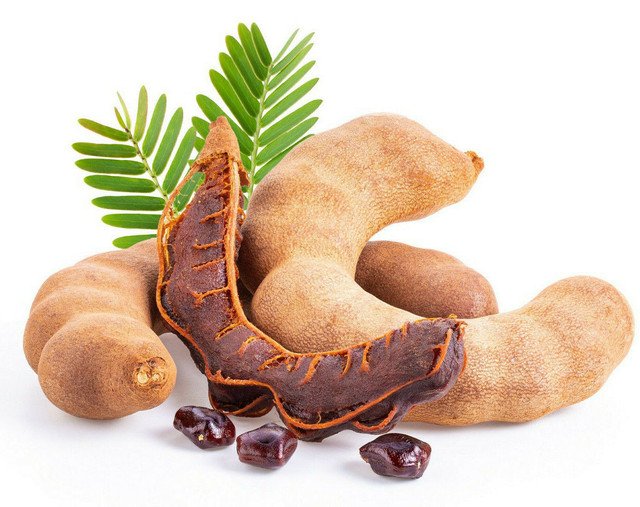 Tamarind Tamarindus Indica 10 US Seeds