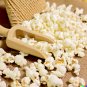 Grow Non GMO Japanese Hulless Corn White Popcorn 50 US Seeds