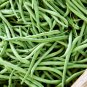GREEN BEAN 100 US SEEDS