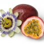 10 US Seeds Passion Fruit Purple Edulis Vine