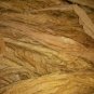 2000 US SEEDS RARE TURKISH BURSA TOBACCO