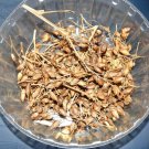 2000 US SEEDS MACEDONIAN PRILEP TOBACCO VERY RARE