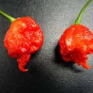 A Grade CAROLINA REAPER Hp22B 25 US seeds