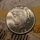 1 US Coin Choice Mint Uncirculated From Roll Estate 1925 GEM BU Peace Silver Dollar