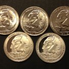 2013 PDSSS 5 US Coins Quarter Mt Rushmore National Park Clad &90% Silver Proofs