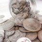 Mason Jar Silver Mixed Lot 18 US Coins ESTATE SALE LIQUIDATION