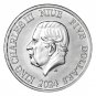 2024 Niue Hawksbill Turtle 2 oz $5 Silver in direct fit capsule 1 US Coin