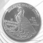 2 oz .999 SILVER Incuse Indian BULLION IN CAPSULE MADE IN USA 1 US Coin