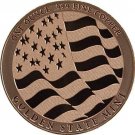 LOT OF 1 OZ 100 US Coins DOUBLE EAGLE COPPER ROUNDS MADE IN USA