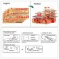3D Metal Puzzle Shunfeng Escort Jigsaw Model Building Kit Toys