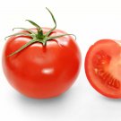 Tomato Siberian Lycopersicon esculentum 20 AU Seeds