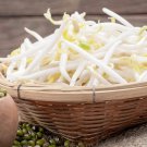 20 AU seeds Mung Bean vigna radiata