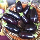 Eggplant Florida Market 50 AU Seeds Fresh