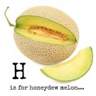 Honey Dew Melon 20 AU seeds fresh