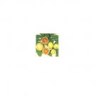 Tropical Guava Psidium Guajava 20 AU Seeds Fresh