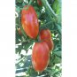 50 AU Seeds Tomato Roma