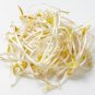 150 AU SEEDS MUNG BEAN SPROUT MICRO GREENS SPROUTS