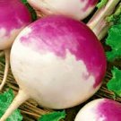 50 AU SEEDS TURNIP PURPLE TOP WHITE GLOBE HEIRLOOM VEGETABLE SWEET FLAVOUR HARDY