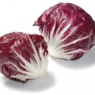 25 AU SEEDS RADICCHIO PALLA ROSSA VEGETABLE GOURMET HEIRLOOM COMPACT