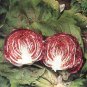 25 AU SEEDS RADICCHIO PALLA ROSSA VEGETABLE GOURMET HEIRLOOM COMPACT