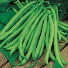 20 AU SEEDS BLUE LAKE BEAN VEGETABLE HEIRLOOM HIGH YIELDING SWEET AND TENDER