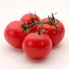 GROSSE LISSE TOMATO VEGETABLE TASTY HIGH YIELDS 25 AU SEEDS