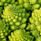 BROCCOLI ROMANESCO VEGETABLE GOURMET SWEET AND CRISP 50 AU SEEDS