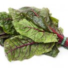 50 AU SEEDS RUBY CHARD RED STEMMED SILVERBEET SPINACH VEGETABLE