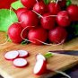 50 AU SEEDS RADISH CHERRY BELLE VEGETABLE HEIRLOOM GREAT TASTE