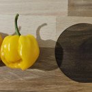 10 AU Seeds Chilli Trinidad Scorpion