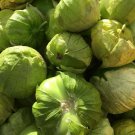 10 AU Seeds TOMATILLO VERDE PUEBLA Green Salsa Summer HEIRLOOM Organic