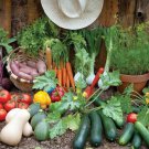 745 AU Seeds Vegetable Summer Starter Pack 20 Varieties Organic Tassie Grown