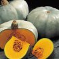 745 AU Seeds Vegetable Summer Starter Pack 20 Varieties Organic Tassie Grown