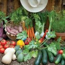 Summer Vegetable 15 Heirloom Varieties Organic Tasmanian 577 AU Seeds