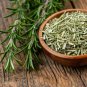 30 AU Seeds ROSEMARY Rosmarinus officinalis Organic Herb Medicinal Bees