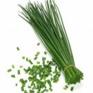 200 AU Seeds CHIVES Tas Grown Organic Herbs Onion Chive Heirloom