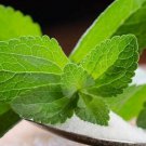 20 AU Seeds Sweet Leaf Stevia rebaudiana Natural Sugar Substitute