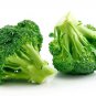 New Variety Broccoli Rock F1 Hybrid Variety med large heads 30 AU seeds