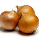200 AU Seeds Brown Onions Gladalan