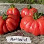 Rare Montserrat TOMATO 15 AU Seeds Tassie Grown Organic Heirloom Tomatoes