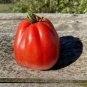 10 AU Seeds Periforme Abruzzo Tomato Organic Italian Rare Heirloom Tassie Grown