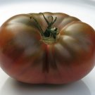 10 AU Seeds Tomato Black Russian Organic Heirloom