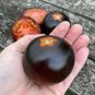 15 AU Seeds TOMATO Wild Card Blues Organic Heirloom Tomatoes Tassie Grown
