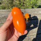 Banana Legs Tomato 15 AU Seeds Organic Heirloom Rare Tomatoes Garden
