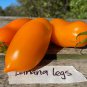 Banana Legs Tomato 15 AU Seeds Organic Heirloom Rare Tomatoes Garden