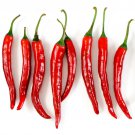 Cayenne Chilli 25 AU Seeds