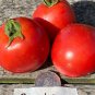 Secret Sauce TOMATO 5 AU Seeds Organic Heirloom Tomatoes Tasmanian Grown Rare