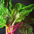 Silverbeet Rainbow Chard 50 AU seeds Vegetable Garden Stem Colours
