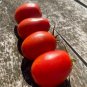 TOMATO Roma 15 AU Seeds Tasmanian Grown Organic Heirloom Tomatoes Vegetables
