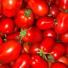40 AU Seeds TOMATO Roma Organic Heirloom Vegetables Tomatoes